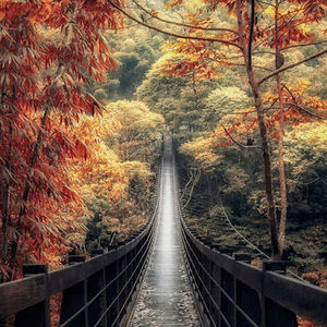 Meet your Posher, Kashif